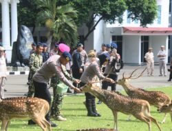 *Brimob Metro Jaya Kunjungi Mako Korps Marinir dalam Rangka HUT ke-80 Marinir TNI AL*
