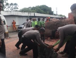 Ditpamobvit Polda Metro Jaya Gerak Cepat Evakuasi Pohon Tumbang Dekat Stasiun MRT Jakarta