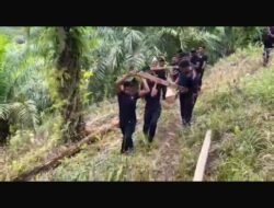 Brimob Polda Kaltara Membangun Jembatan Roboh di Tapal Batas, Sebatik Tengah