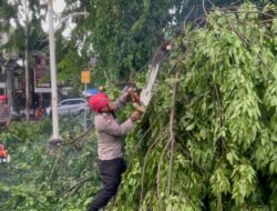 *Tim SAR Ditsamapta Patroli Jaga Jakarta Tangani Pohon Tumbang di Jakpus*