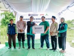 Mencegah Abrasi, Indonesia Financial Group Bersama Indonesia Hijau Tanam 5.000 Bibit Mangrove