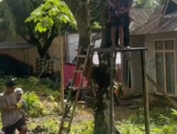 Brimob Polri Laksanakan Trauma Healing Anak Terdampak Bencana di Kabupaten Agam