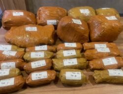 *POLDA METRO JAYA UNGKAP PEREDARAN GANJA 9,4 KG, TIGA TERSANGKA DIAMANKAN*