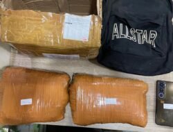 *POLDA METRO JAYA MENGGAGALKAN PEREDARAN GANJA 2KG DI DEPOK, SATU TERSANGKA DIAMANKAN*