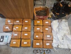 *POLDA METRO JAYA BERHASIL MENGAGALKAN PEREDARAN GANJA SEBERAT 18 KILOGRAM DI JAKARTA BARAT*