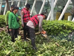 *Gerak Cepat Ditsamapta Tangani Pohon Tumbang di Halte MRT Setiabudi Astra*