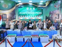 Polda Riau Bekuk 15 Tersangka Jaringan Perburuan Gajah Sumatera Lintas Provinsi