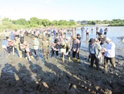 Green Policing Polda Aceh, Tanam 10 Ribu Mangrove untuk Perkuat Ketahanan Ekologi dan Ekonomi Desa Pesisir