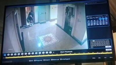 Aturan Hunian Dipertanyakan: Pesta Miras, Intimidasi, hingga Dugaan Penyalahgunaan Izin, Penghuni Minta Jaminan Keamanan